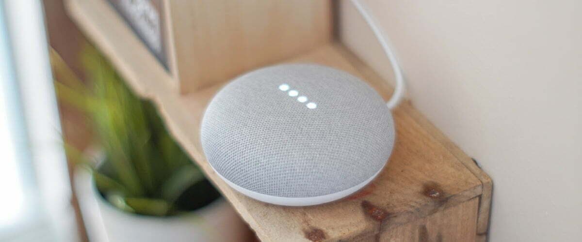 voice assistant web