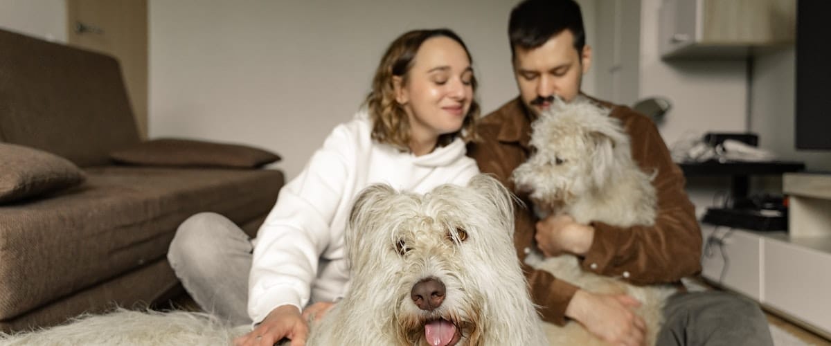 Dierendag-1200x500-1