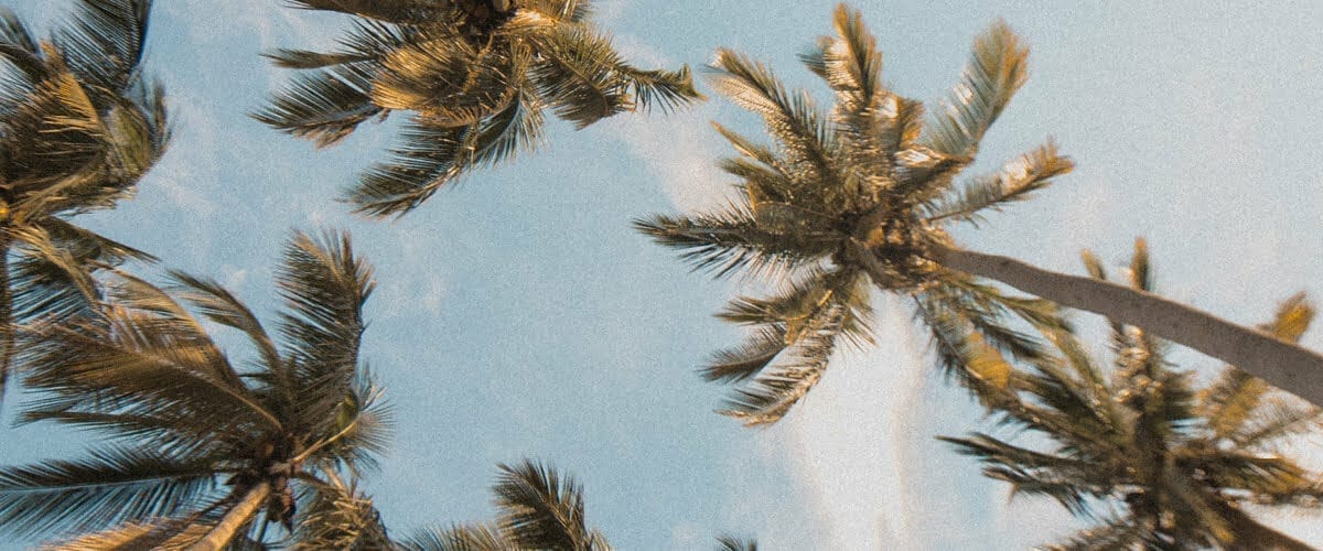 Vakantiefieldlabs web