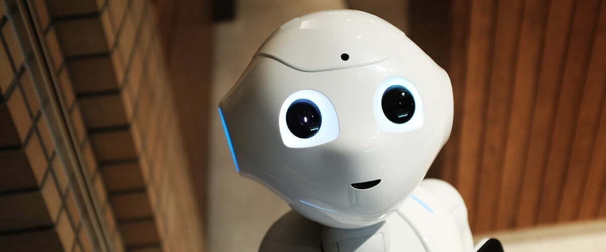 chatbots web