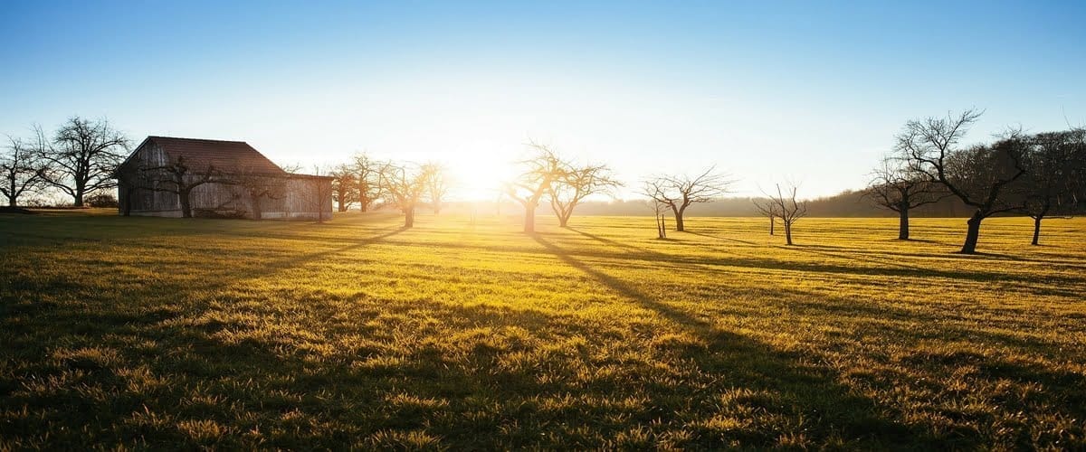 Travel-interview-campspace-1200x500-1